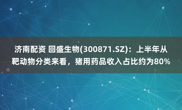济南配资 回盛生物(300871.SZ)：上半年从靶动物分类来看，猪用药品收入占比约为80%