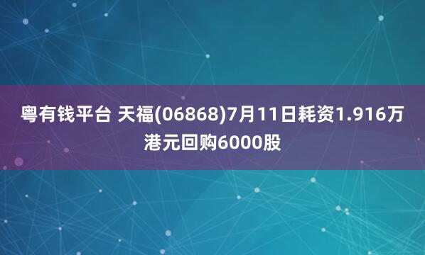 粤有钱平台 天福(06868)7月11日耗资1.916万港元回购6000股